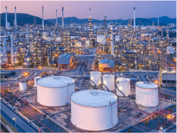 Chemical & Petrochemical